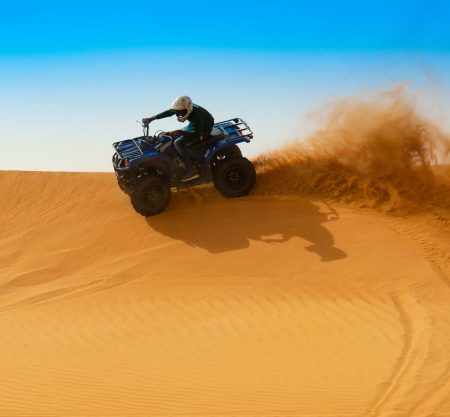 Explore the desert